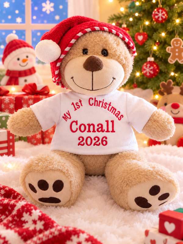 Christmas personalised Teddy Bear