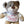 Load image into Gallery viewer, Personalised Teddy - Happy Birthday
