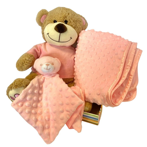 Premier Baby Hamper - Pink